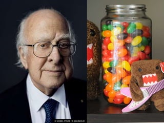 © NOBEL PRIZE / A MAHMOUD
 