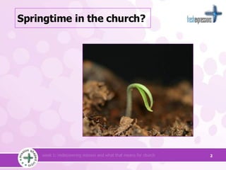 Springtime in the church? 