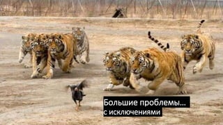 Большие проблемы…
с исключениями
5
 