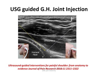 Us Guided Gh Inj Diagnostic Ultrasound of shoulder | PPTX