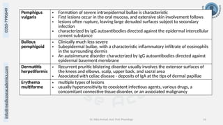 Dr. Sidra Arshad, Asst. Prof. Physiology 16
0310-7990649
info@medicoseacademics.com
Pemphigus
vulgaris
• Formation of severe intraepidermal bullae is characteristic
• First lesions occur in the oral mucosa, and extensive skin involvement follows
• lesions often rupture, leaving large denuded surfaces subject to secondary
infection
• characterized by IgG autoantibodies directed against the epidermal intercellular
cement substance
Bullous
pemphigoid
• Clinically much less severe
• Subepidermal bullae, with a characteristic inflammatory infiltrate of eosinophils
in the surrounding dermis
• An autoimmune disorder characterized by IgG autoantibodies directed against
epidermal basement membrane
Dermatitis
herpetiformis
• Recurrent pruritic blistering disorder usually involves the extensor surfaces of
the knees and elbows, scalp, upper back, and sacral area
• Associated with celiac disease - deposits of IgA at the tips of dermal papillae
Erythema
multiforme
• multiple types of lesions
• usually hypersensitivity to coexistent infectious agents, various drugs, a
concomitant connective tissue disorder, or an associated malignancy
 