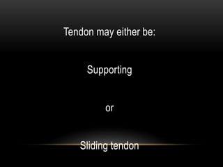 Tendon may either be:
Supporting
or
Sliding tendon
 