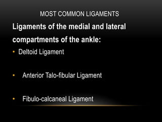 MOST COMMON LIGAMENTS
Ligaments of the medial and lateral
compartments of the ankle:
• Deltoid Ligament
• Anterior Talo-fibular Ligament
• Fibulo-calcaneal Ligament
 