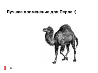 Лучшее применение для Перла :)




 34
 