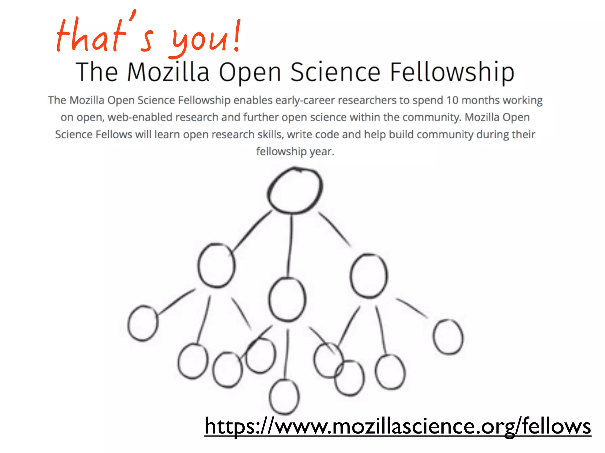 https://www.mozillascience.org/fellows
 