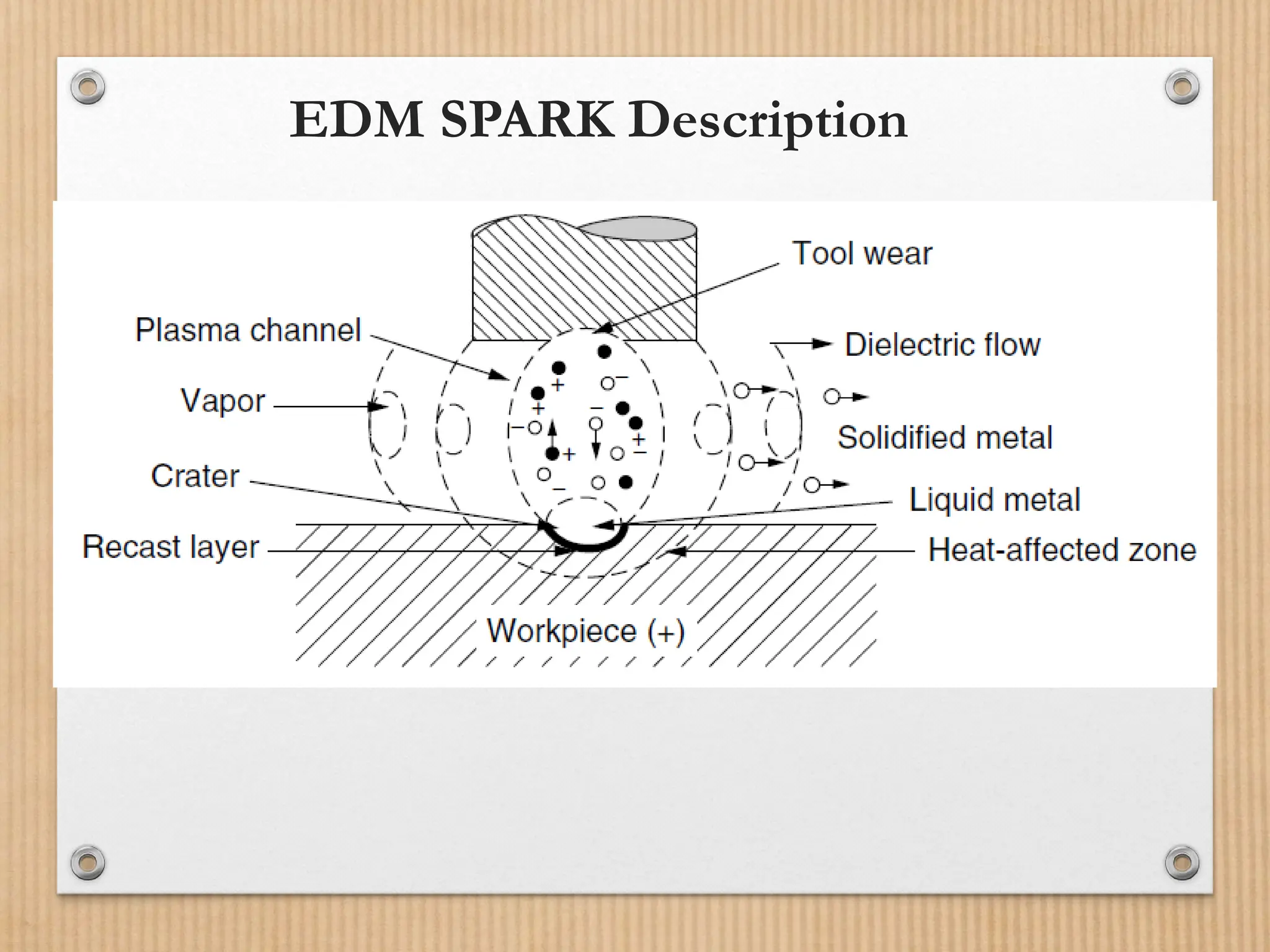 EDM SPARK Description
 
