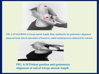 MS lenngth.pdf