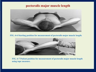 Pec Muscle Testing MS lenngth.pdf