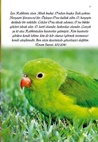 11
‹‹ﬂﬂttee RRaabbbbiinniizz oollaann AAllllaahh bbuudduurr.. OO''nnddaann bbaaﬂﬂkkaa ‹‹llaahh yyookkttuurr..
HHeerrﬂﬂeeyyiinn YYaarraatt››cc››ss››''dd››rr.. ÖÖyylleeyyssee OO''nnaa kkuulllluukk eeddiinn.. OO,, hheerrﬂﬂeeyyiinn
üüssttüünnddee bbiirr vveekkiillddiirr.. GGöözzlleerr OO''nnuu iiddrraakk eeddeemmeezz;; OO iissee bbüüttüünn
ggöözzlleerrii iiddrraakk eeddeerr.. OO,, llaattiiff oollaanndd››rr,, hhaabbeerrddaarr oollaanndd››rr.. GGeerrççeekk
ﬂﬂuu kkii ssiizzee RRaabbbbiinniizzddeenn bbaassiirreettlleerr ggeellmmiiﬂﬂttiirr.. KKiimm bbaassiirreettllee
ggöörrüürrssee kkeennddii lleehhiinnee,, kkiimm ddee kköörr oolluurrssaa ((ggöörrmmeekk iisstteemmeezzssee))
kkeennddii aalleeyyhhiinneeddiirr.. BBeenn ssiizziinn üüzzeerriinniizzddee ggöözzeettlleeyyiiccii ddee¤¤iilliimm..
((EEnnaamm SSuurreessii,, 110022--110044))
 