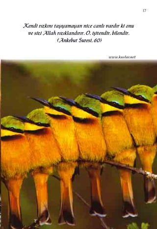 17
KKeennddii rr››zzkk››nn›› ttaaﬂﬂ››yyaammaayyaann nniiccee ccaannll›› vvaarrdd››rr kkii oonnuu
vvee ssiizzii AAllllaahh rr››zz››kkllaanndd››rr››rr.. OO,, iiﬂﬂiitteennddiirr,, bbiilleennddiirr..
((AAnnkkeebbuutt SSuurreessii,, 6600))
www.kuslar.net
 