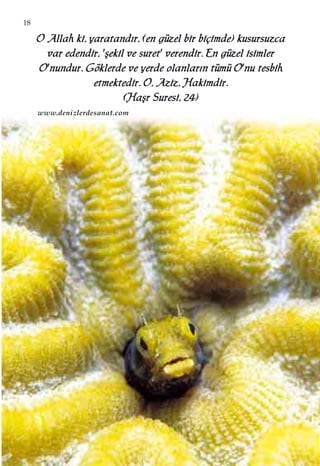 18
OO AAllllaahh kkii,, yyaarraattaanndd››rr,, ((eenn ggüüzzeell bbiirr bbiiççiimmddee)) kkuussuurrssuuzzccaa
vvaarr eeddeennddiirr,, ''ﬂﬂeekkiill vvee ssuurreett'' vveerreennddiirr.. EEnn ggüüzzeell iissiimmlleerr
OO''nnuunndduurr.. GGöökklleerrddee vvee yyeerrddee oollaannllaarr››nn ttüümmüü OO''nnuu tteessbbiihh
eettmmeekktteeddiirr.. OO,, AAzziizz,, HHaakkiimmddiirr..
((HHaaﬂﬂrr SSuurreessii,, 2244))
www.denizlerdesanat.com
 