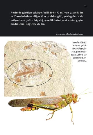 21
Resimde görülen çekirge fosili 108 – 92 milyon yaﬂ›ndad›r
ve Darwinistlere, di¤er tüm canl›lar gibi, çekirgelerin de
milyonlarca y›ld›r hiç de¤iﬂmediklerini yani evrim geçir-
mediklerini söylemektedir.
Yanda 108-92
milyon y›ll›k
bir çekirge fo-
sili görülmek-
tedir. Altta ise
günümüz çe-
kirgesi...
www.canlilarinevrimi.com
 