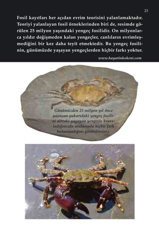 23
Fosil kay›tlar› her aç›dan evrim teorisini yalanlamaktad›r.
Teoriyi yalanlayan fosil örneklerinden biri de, resimde gö-
rülen 25 milyon yaﬂ›ndaki yengeç fosilidir. On milyonlar-
ca y›ld›r de¤iﬂmeden kalan yengeçler, canl›lar›n evrimleﬂ-
medi¤ini bir kez daha teyit etmektedir. Bu yengeç fosili-
nin, günümüzde yaﬂayan yengeçlerden hiçbir fark› yoktur.
Günümüzden 25 milyon y›l önce
yaﬂayan yukar›daki yengeç fosili-
ni alttaki yaﬂayan yengeçle k›yas-
lad›¤›n›zda aralar›nda hiçbir fark
bulunmad›¤›n› görebilirsiniz.
www.hayatinkokeni.com
 