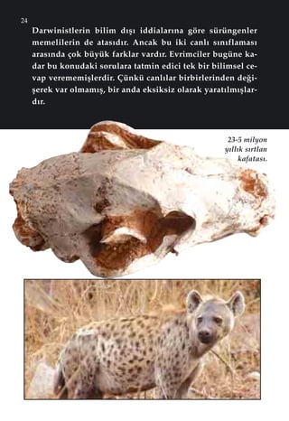 24
Darwinistlerin bilim d›ﬂ› iddialar›na göre sürüngenler
memelilerin de atas›d›r. Ancak bu iki canl› s›n›flamas›
aras›nda çok büyük farklar vard›r. Evrimciler bugüne ka-
dar bu konudaki sorulara tatmin edici tek bir bilimsel ce-
vap verememiﬂlerdir. Çünkü canl›lar birbirlerinden de¤i-
ﬂerek var olmam›ﬂ, bir anda eksiksiz olarak yarat›lm›ﬂlar-
d›r.
23-5 milyon
y›ll›k s›rtlan
kafatas›.
 