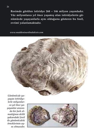 26
Resimde görülen istiridye 268 – 146 milyon yaﬂ›ndad›r.
Yüz milyonlarca y›l önce yaﬂam›ﬂ olan istiridyelerin gü-
nümüzde yaﬂayanlarla ayn› oldu¤unu gösteren bu fosil,
evrimi yalanlamaktad›r.
Günümüzde ya-
ﬂayan istiridye-
lerle milyonlar-
ca y›l önce ya-
ﬂayanlar aras›n-
da bir fark ol-
mad›¤›n›n delili
yukar›daki fosil
ile günümüzdeki
örneklerinin ay-
n› olmas›d›r.
www.maddeninardindakisir.com
 
