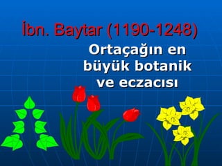 İbn. Baytar (1190-1248) Ortaçağın en büyük botanik ve eczacısı 