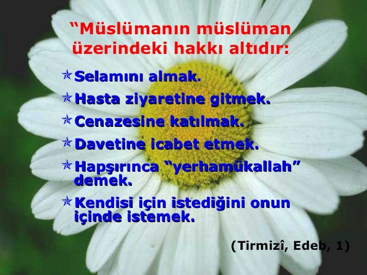 muslumanin haklari7