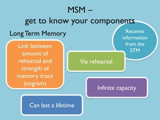 Msm | PDF
