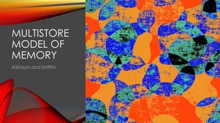 Comprehensive Overview of the Multistore Model of Memory by Atkinson ...