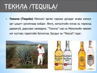 ТЕКИЛА /TEQUILA/
• Текила (Tequila) Мексикт өргөн тархаж ургадаг агава хэмээх
үрт цэцэгт ургамлаар хийдэг. Өнгө, хатуулгийн ялгаа нь торхонд
дараагүй, дарснаас хамаарна. “Текила” нэр нь Мексикийн зөвхөн
нэг нутгаас гаралтайн баталгаа. Бусдыг нь “Mezcal” гэдэг.
 