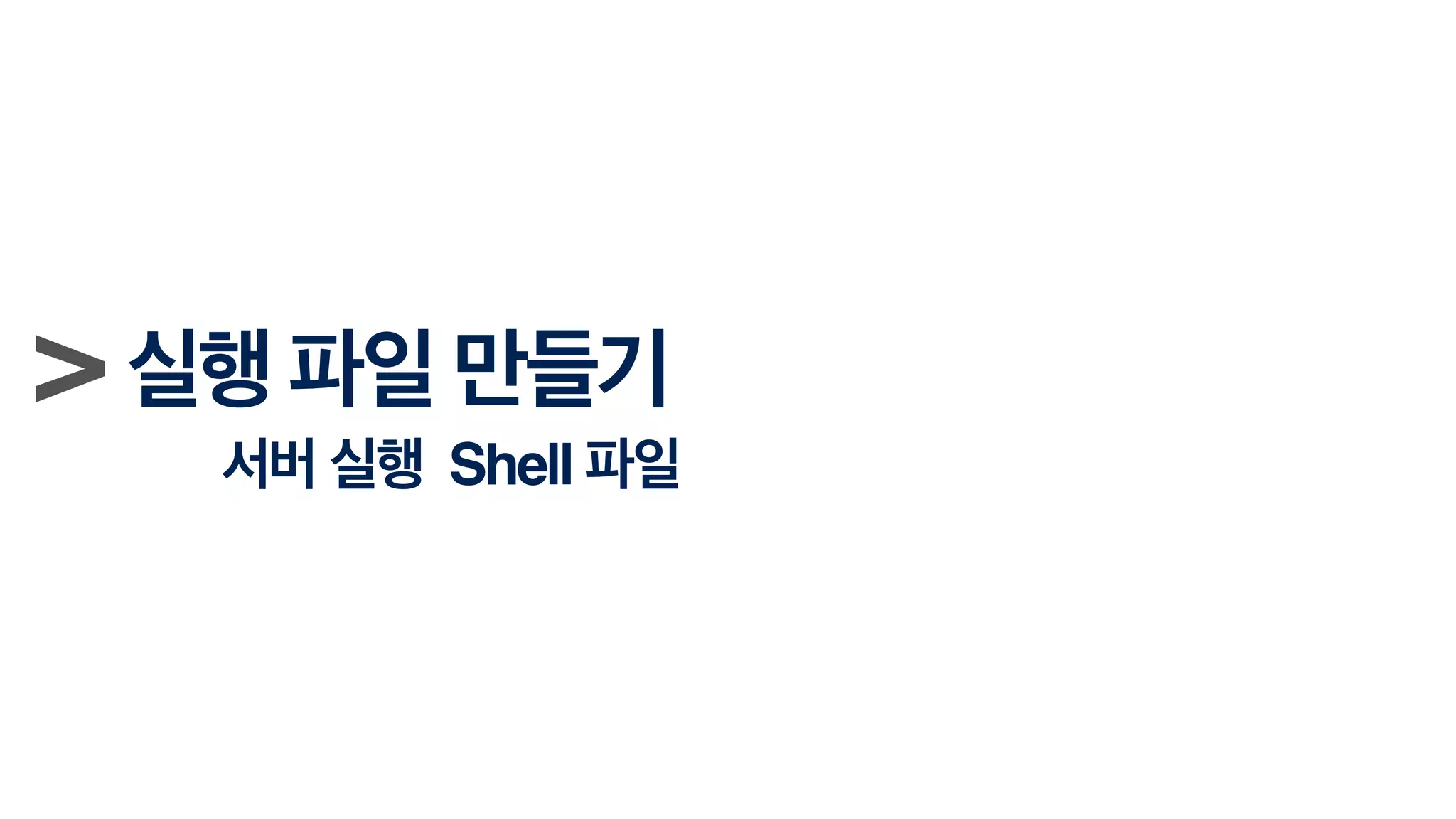 > 실행 파일 만들기!
서버 실행 Shell 파일
 
