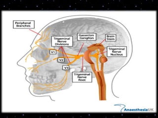 origin of the…..pain....nerve
.
 