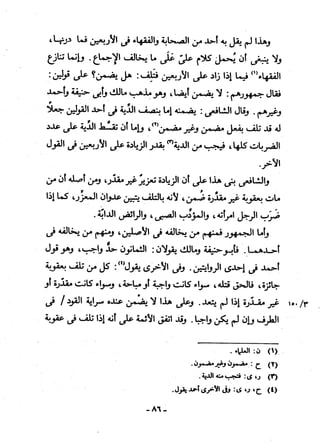 منهاج السنة النبوية6