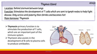 Thymosin primary function is to
stimulate the production of T cells,
which are an important part of the
immune system.
Thymosin also assists in the
development of B cells to plasma cells
to produce antibodies.
Mark Abejo
abejo
 