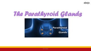 The Parathyroid Glands
Mark Abejo
abejo
 