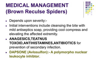 MEDICAL MANAGEMENT
(Brown Reculse Spiders)
● Depends upon severity:-
● Initial interventions include cleansing the bite with
mild antiseptics soap, providing cool compress and
elevating the affected extremity.
● ANAGESICS,TEATNUS
TOXOID,ANTIHISTAMINES,ANTIBIOTICS for
prevention of secondary infection.
● DAPSONE (Avlosulfon):- A polymorpho nuclear
leukocyte inhibtor.
 