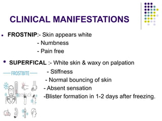CLINICAL MANIFESTATIONS
● FROSTNIP:- Skin appears white
- Numbness
- Pain free
• SUPERFICAL :- White skin & waxy on palpation
- Stiffness
- Normal bouncing of skin
- Absent sensation
-Blister formation in 1-2 days after freezing.
 
