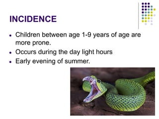 INCIDENCE
● Children between age 1-9 years of age are
more prone.
● Occurs during the day light hours
● Early evening of summer.
 