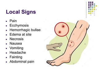 Local Signs
● Pain
● Ecchymosis
● Hemorrhagic bullae
● Edema at site
● Necrosis
● Nausea
● Vomiting
● Headache
● Fainting
● Abdominal pain
 