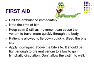 FIRST AID
● Call the ambulance immediately.
● Note the time of bite.
● Keep calm & still as movement can cause the
venom to travel more quickly through the body.
● Patient is allowed to lie down quickly. Bleed the bite
site.
● Apply tourniquet above the bite site. It should be
tight enough to prevent venom to allow to go in
lymphatic circulation. Don’t allow the victim to walk
 