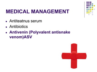 MEDICAL MANAGEMENT
● Antiteatnus serum
● Antibiotics
● Antivenin (Polyvalent antisnake
venom)ASV
 