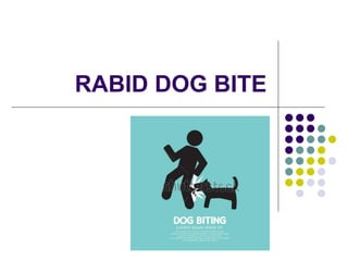 RABID DOG BITE
 