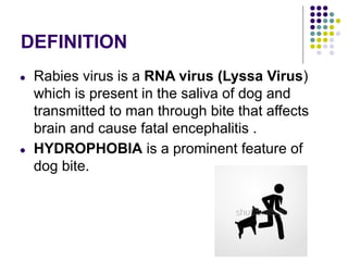 DEFINITION
● Rabies virus is a RNA virus (Lyssa Virus)
which is present in the saliva of dog and
transmitted to man through bite that affects
brain and cause fatal encephalitis .
● HYDROPHOBIA is a prominent feature of
dog bite.
 