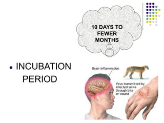 ● INCUBATION
PERIOD
10 DAYS TO
FEWER
MONTHS
 