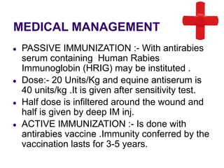 MEDICAL MANAGEMENT
● PASSIVE IMMUNIZATION :- With antirabies
serum containing Human Rabies
Immunoglobin (HRIG) may be instituted .
● Dose:- 20 Units/Kg and equine antiserum is
40 units/kg .It is given after sensitivity test.
● Half dose is infiltered around the wound and
half is given by deep IM inj.
● ACTIVE IMMUNIZATION :- Is done with
antirabies vaccine .Immunity conferred by the
vaccination lasts for 3-5 years.
 