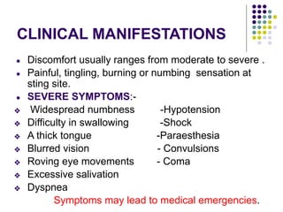 CLINICAL MANIFESTATIONS
● Discomfort usually ranges from moderate to severe .
● Painful, tingling, burning or numbing sensation at
sting site.
● SEVERE SYMPTOMS:-
❖ Widespread numbness -Hypotension
❖ Difficulty in swallowing -Shock
❖ A thick tongue -Paraesthesia
❖ Blurred vision - Convulsions
❖ Roving eye movements - Coma
❖ Excessive salivation
❖ Dyspnea
Symptoms may lead to medical emergencies.
 