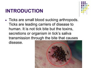INTRODUCTION
● Ticks are small blood sucking arthropods.
Ticks are leading carriers of disease to
human. It is not tick bite but the toxins,
secretions or organism in tick’s saliva
transmission through the bite that causes
disease.
 