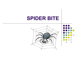 SPIDER BITE
 