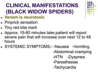 CLINICAL MANIFESTATIONS
(BLACK WIDOW SPIDERS)
● Venom is neurotoxic
● Pinprick sensation
● Tiny red bite mark
● Approx. 15-60 minutes later,patient will report
severe pain that will increase over next 12 to 48
hours
● SYSTEMIC SYMPTOMS:- -Nausea -Vomiting
-Abdominal cramping
-HTN -Dyspnea
-Paresthesias
-Tachycardia
 