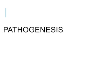 PATHOGENESIS
 