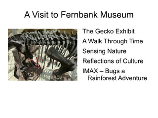 A Visit to Fernbank Museum The Gecko Exhibit 
