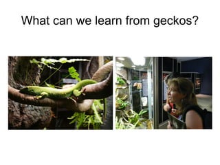 A Walk Through Time 