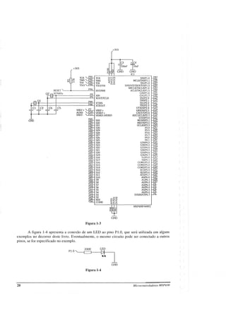 msp430.teoriaepratica.pdf