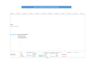 Sample Msp Programme Plan.pdf MSP | PDF