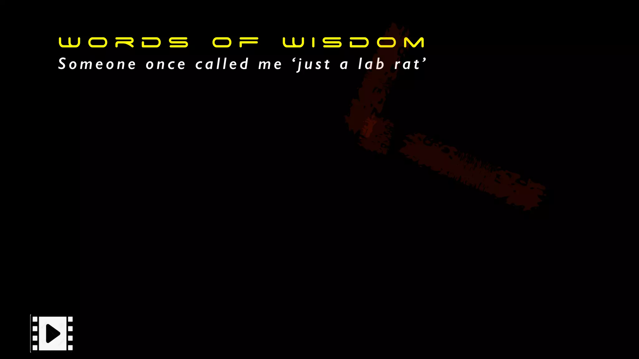 W o r d s o f W i s d o m
S o m e o n e o n c e c a l l e d m e ‘ j u s t a l a b ra t ’
 