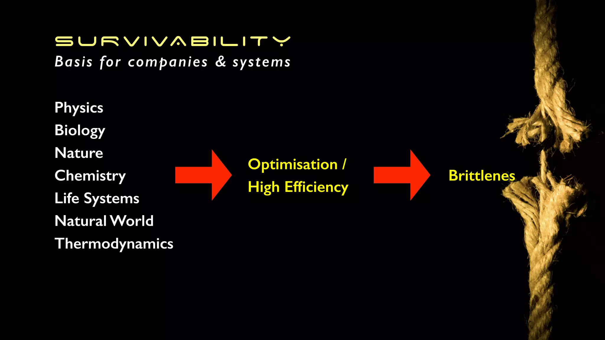 SURVIVABILITY
Basis for companies & systems
Physics
Biology
Nature
Chemistry
Life Systems
Natural World
Thermodynamics
Optimisation /
High Efﬁciency
Brittlenes
 